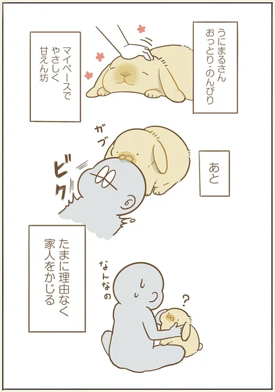 たまに理由なく家人をかじる