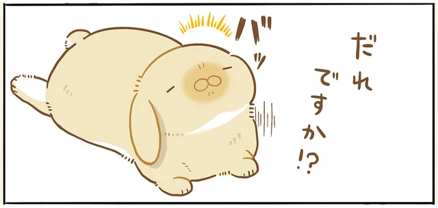 テリトリーの外に出られないうちの子。警戒心が強いタイプだと思っていたのに