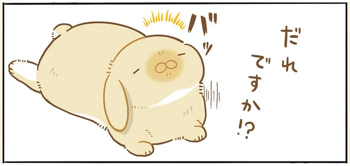 テリトリーの外に出られないうちの子。警戒心が強いタイプだと思っていたのに／うちのうさぎは今日ものんびり（7）