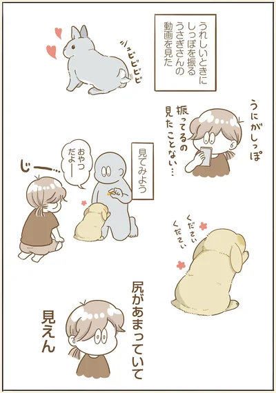 見てみよう
