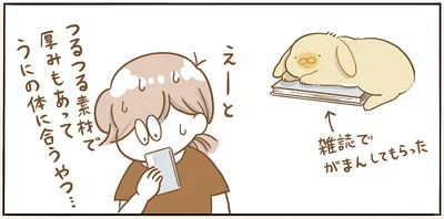 雑誌でがまんしてもらった