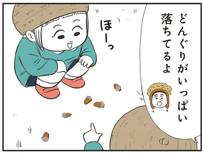どんぐりがいっぱい落ちてるよ