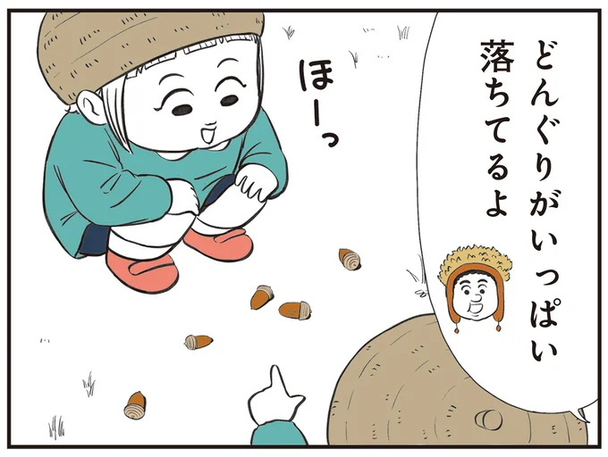 どんぐりがいっぱい落ちてるよ