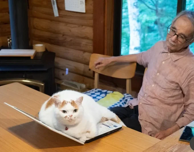 メイちゃんのドヤ顔に手が出ないお父さん▶でも寝るときは?(⇒次へ)