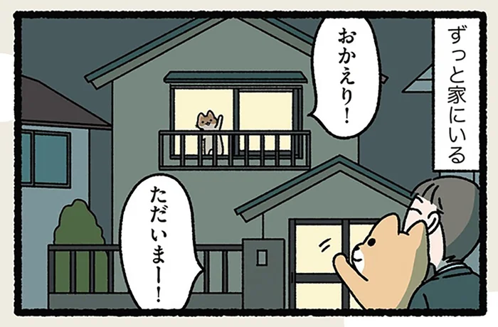 【犬は人につき、ねこは家につく】ねこと犬の違い？ ずっと家にいてくれる存在／ねことわざ（3）