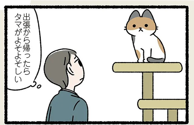 【ねこは三年の恩を三日で忘れる】3日会わなかっただけなのに。ねこの不機嫌な理由は