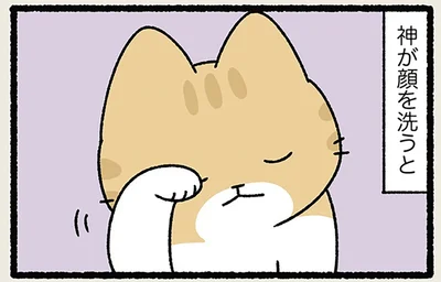 神様ねこが顔を洗うと…