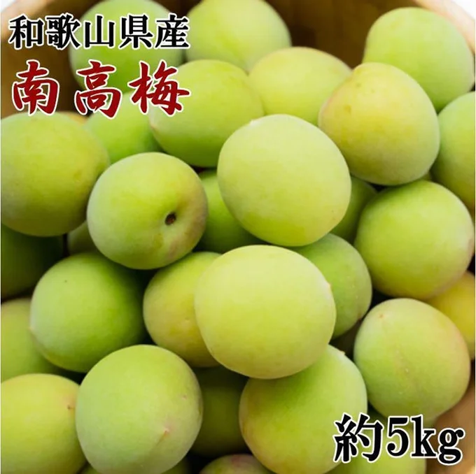 [和歌山県和歌山市]南高梅約5kg（サイズ混合）★2026年6月より順次発送［TM176］