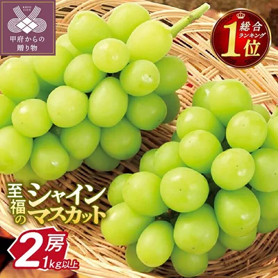 [山梨県甲府市]2026年 先行予約 山梨 県産 ☆総合1位獲得★ 【高評価 ★4.62】シャイン 10000円 ぶどう シャインマスカット 令和8年 フルーツ 王国山梨 人気 ランキング 果物 2房 冷蔵 1.0kg以上 種なし 大粒 高級 甘い 【2026年8月中旬～10月上旬頃順次発送】 k245-002