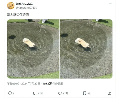 「謎の生き物」として話題になっていました！▶この角度だと（⇒次へ）