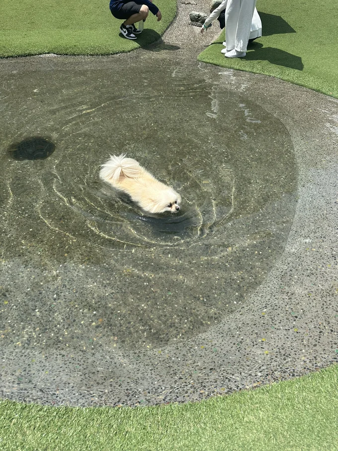 いっそう謎の生き物感が増しますね!▶でもとっても気持ちよさそうで(⇒次へ)