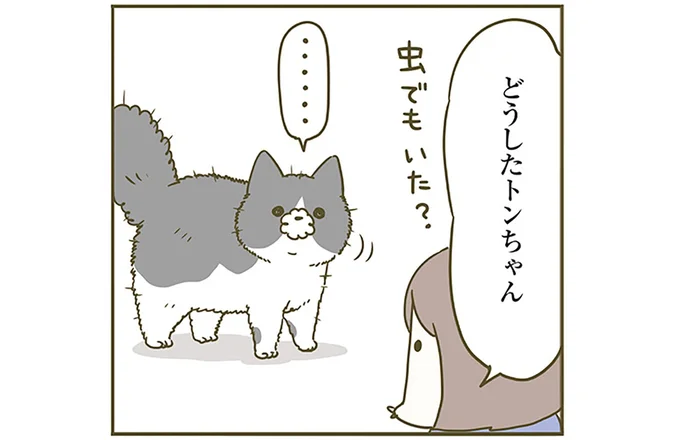 虫でもいた?