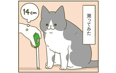 足の長さを測ってみた