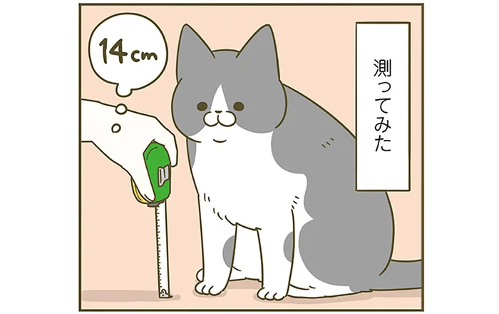 猫の脚の長さを知りたい飼い主。だけど測っても測っても…