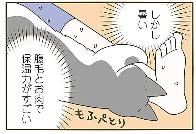 ああっ嬉しい！ 普段くっついてくれない猫への対処法を間違えた話