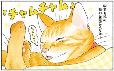 一番のお気に入りは…