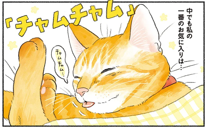 一番のお気に入りは…