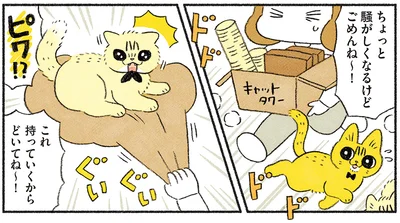 ごめんね〜！