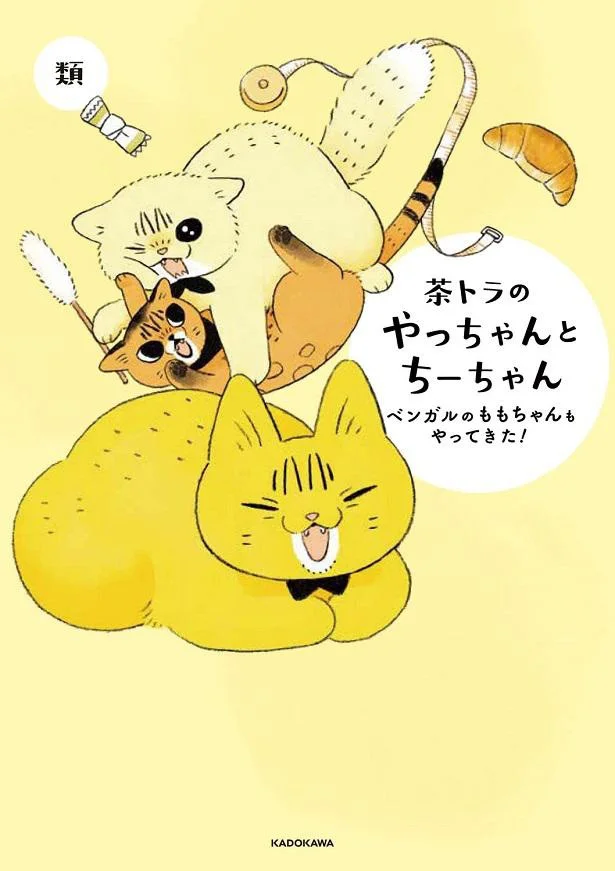 引っ越し後の初めての朝。元気がなかったけれど、数日後には復活して