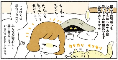 引越しをしてからはじめての朝