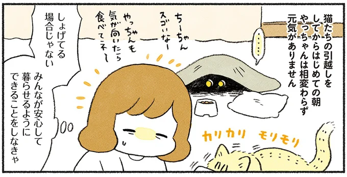 引越しをしてからはじめての朝