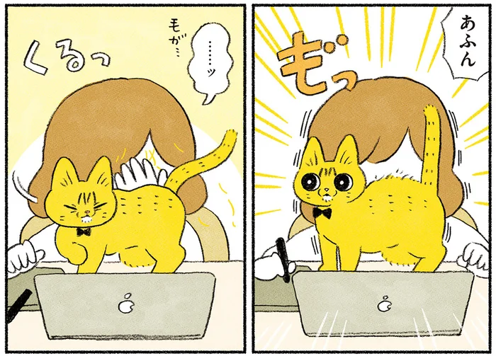 在宅勤務でペットを飼う人、どう働いてるの？ 邪魔ばかりされる日々