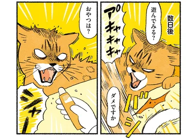遊んでみる？おやつは？