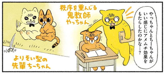 トライアル開始から2ヶ月。新人猫を受け入れる先輩猫たちの成長に感動！