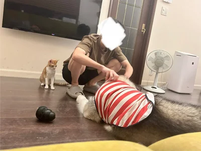 アルちゃんを観察中のホップちゃん▶いい笑顔のアルちゃん（⇒次へ）