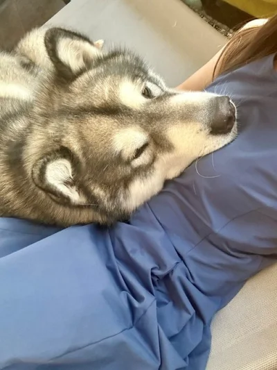 幸せなひととき♪▶かわいい！けど、重い…！（⇒次へ）