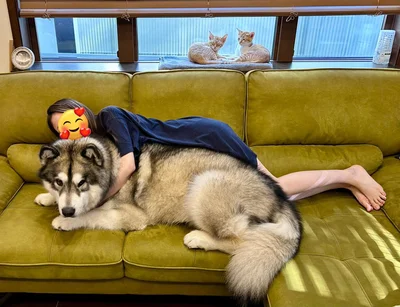 左がモルトちゃん、右がホップちゃん▶服を着たアルちゃんの見学（⇒次へ）