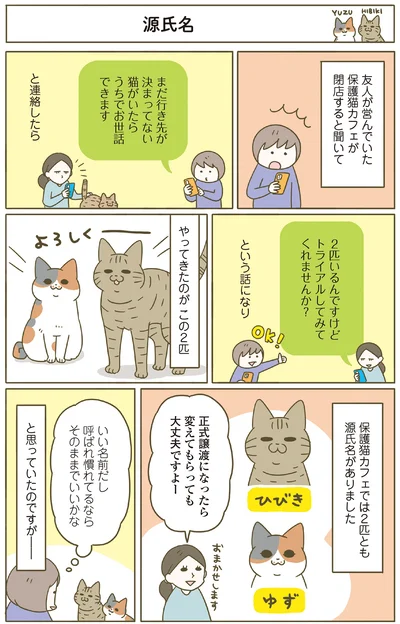 友人の保護猫カフェが閉店するので…