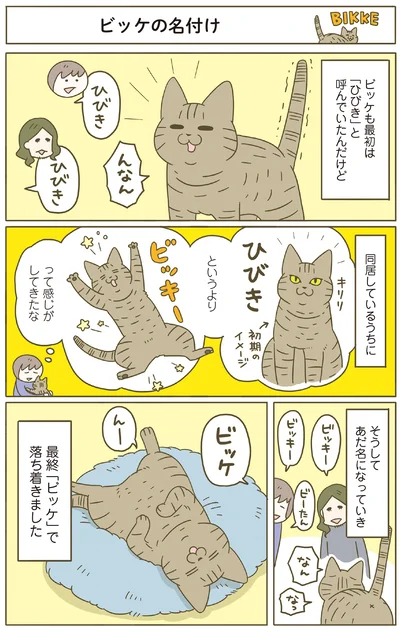 同居しているうちに