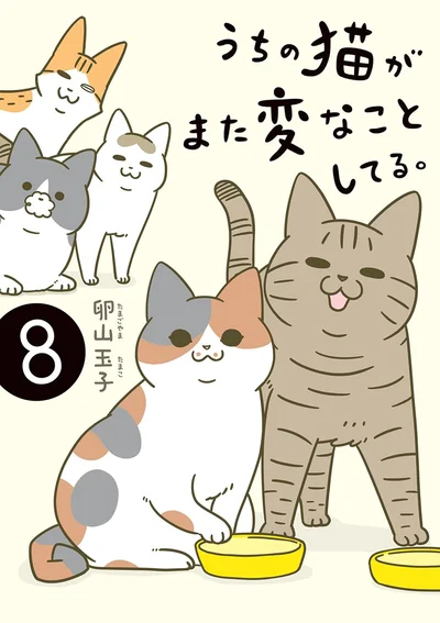 卵山家に新たな猫が仲間入り！先住猫たちは快く受け入れてくれるのか！？『うちの猫がまた変なことしてる。8』