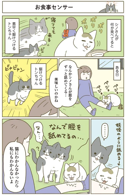 『うちの猫がまた変なことしてる。8』より