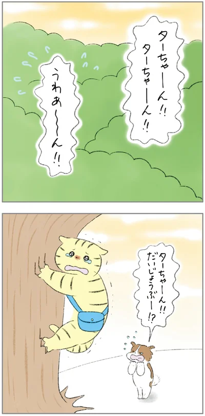 ターちゃーん！！だいじょうぶー！？