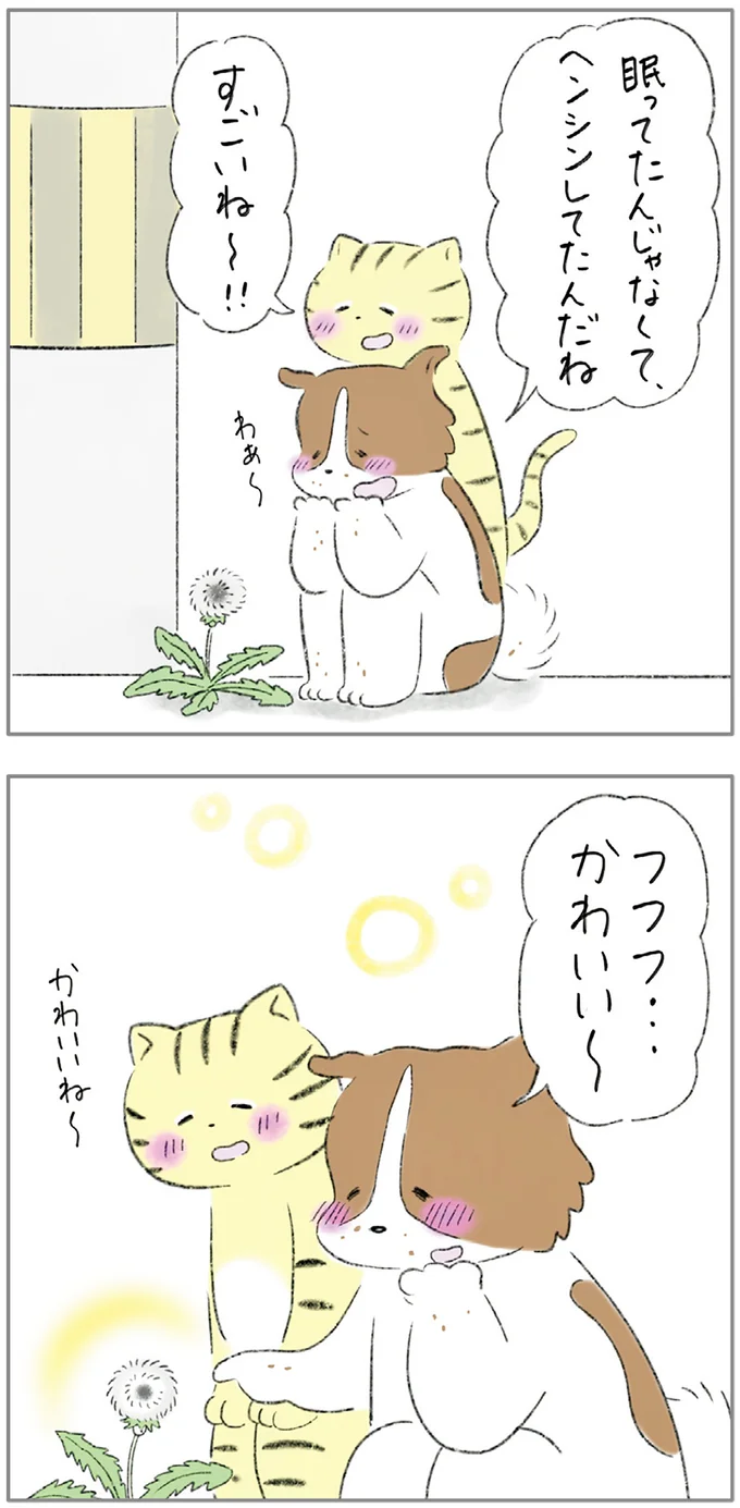 『ターとアグのしあわせ日和 元ノラ猫と元保護犬、ふたりは親友』より