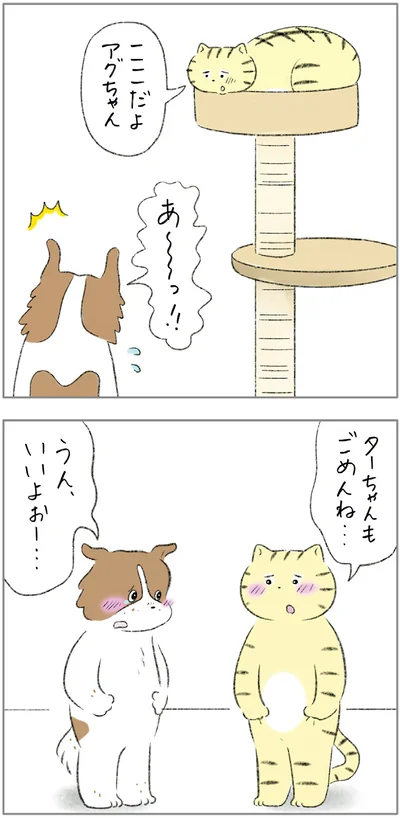 『ターとアグのしあわせ日和 元ノラ猫と元保護犬、ふたりは親友』より