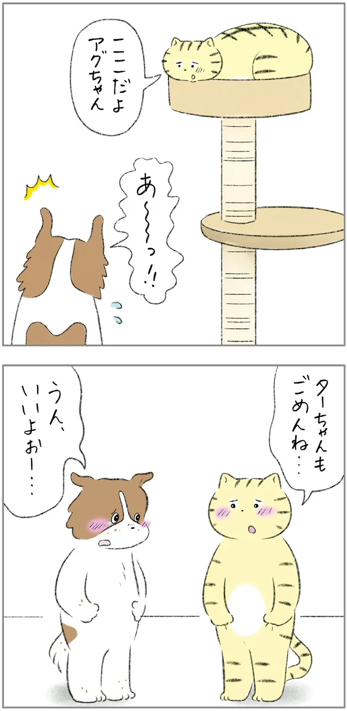 『ターとアグのしあわせ日和 元ノラ猫と元保護犬、ふたりは親友』より