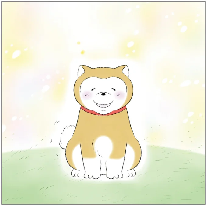 『ターとアグのしあわせ日和 元ノラ猫と元保護犬、ふたりは親友』より