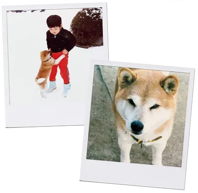 『ターとアグのしあわせ日和 元ノラ猫と元保護犬、ふたりは親友』より