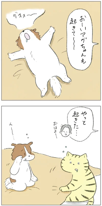 『ターとアグのしあわせ日和 元ノラ猫と元保護犬、ふたりは親友』より
