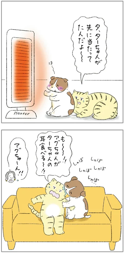 『ターとアグのしあわせ日和 元ノラ猫と元保護犬、ふたりは親友』より