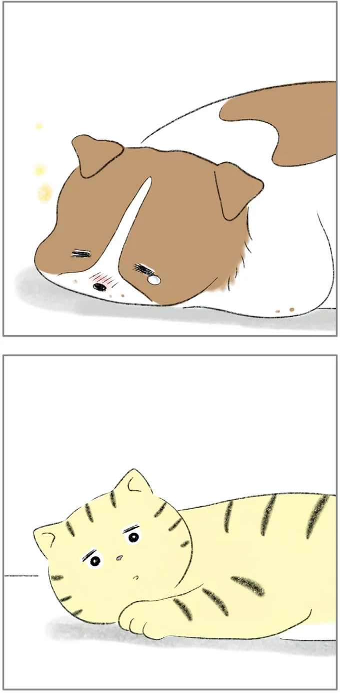 『ターとアグのしあわせ日和 元ノラ猫と元保護犬、ふたりは親友』より