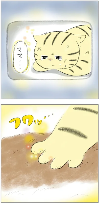 『ターとアグのしあわせ日和 元ノラ猫と元保護犬、ふたりは親友』より