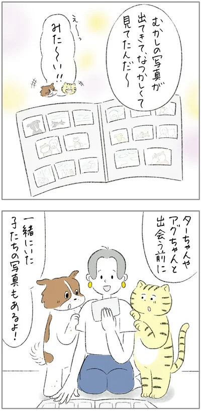 『ターとアグのしあわせ日和 元ノラ猫と元保護犬、ふたりは親友』より
