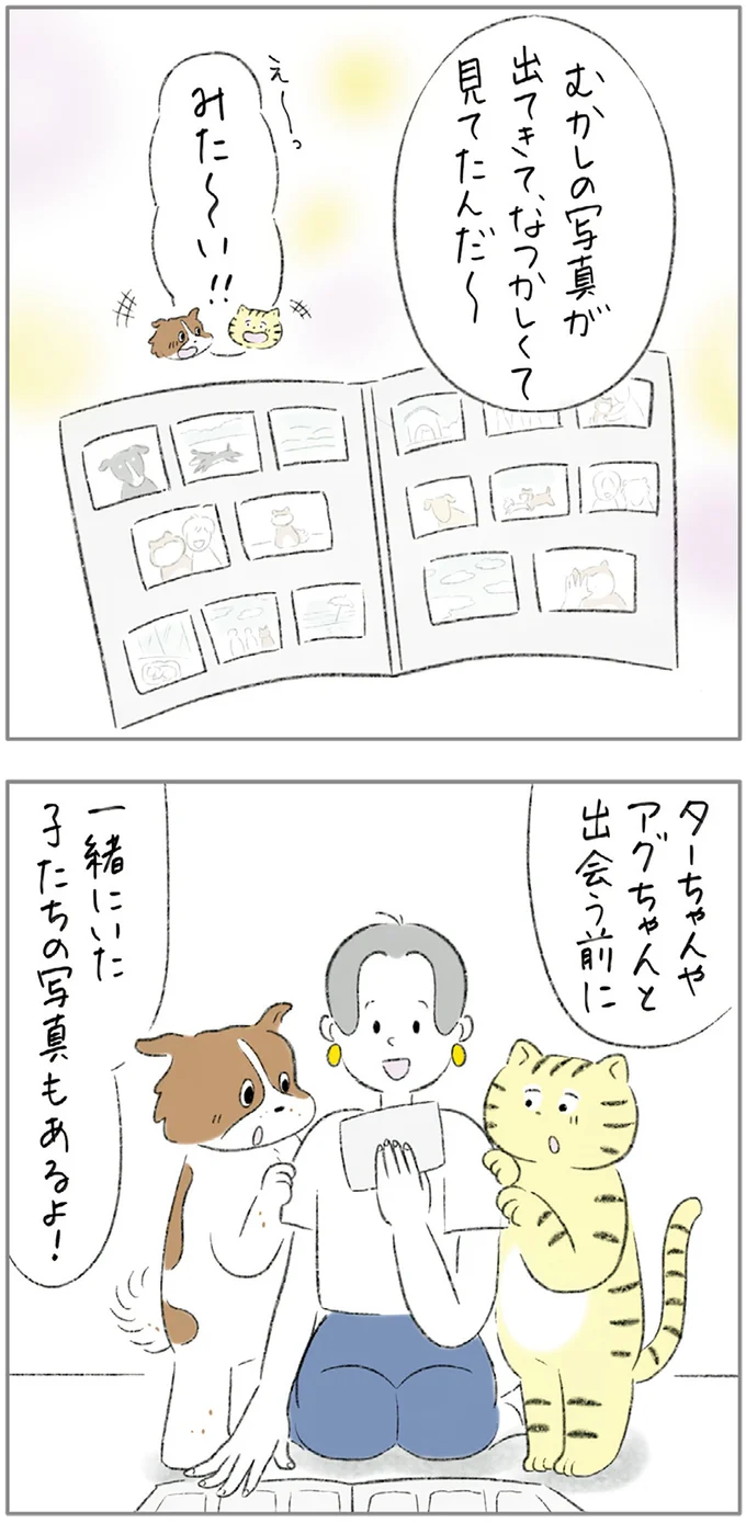 『ターとアグのしあわせ日和 元ノラ猫と元保護犬、ふたりは親友』より