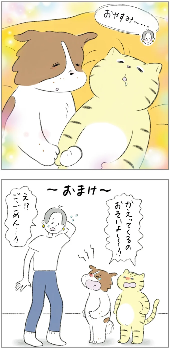 『ターとアグのしあわせ日和 元ノラ猫と元保護犬、ふたりは親友』より