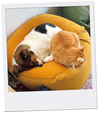 『ターとアグのしあわせ日和 元ノラ猫と元保護犬、ふたりは親友』より