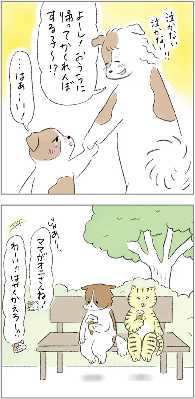 『ターとアグのしあわせ日和 元ノラ猫と元保護犬、ふたりは親友』より